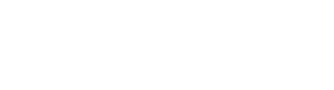 Chapin International